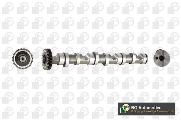 Wilmink Group WG1490421 Camshaft WG1490421: Buy near me in Poland at 2407.PL - Good price!