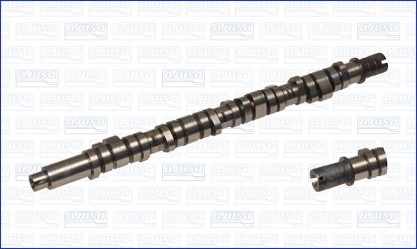 Wilmink Group WG1456209 Camshaft WG1456209: Buy near me in Poland at 2407.PL - Good price!