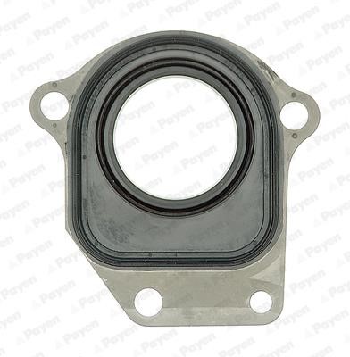Wilmink Group WG1183395 Oil seal WG1183395: Buy near me in Poland at 2407.PL - Good price!
