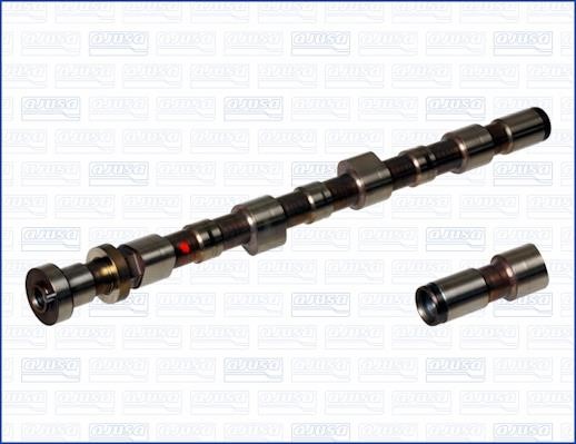 Wilmink Group WG1171440 Camshaft WG1171440: Buy near me in Poland at 2407.PL - Good price!