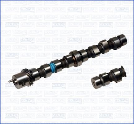 Wilmink Group WG1170804 Camshaft WG1170804: Buy near me in Poland at 2407.PL - Good price!