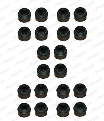 Wilmink Group WG1181371 Valve oil seals, kit WG1181371: Buy near me at 2407.PL in Poland at an Affordable price!