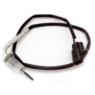Wilmink Group WG1484249 Exhaust gas temperature sensor WG1484249: Buy near me in Poland at 2407.PL - Good price!
