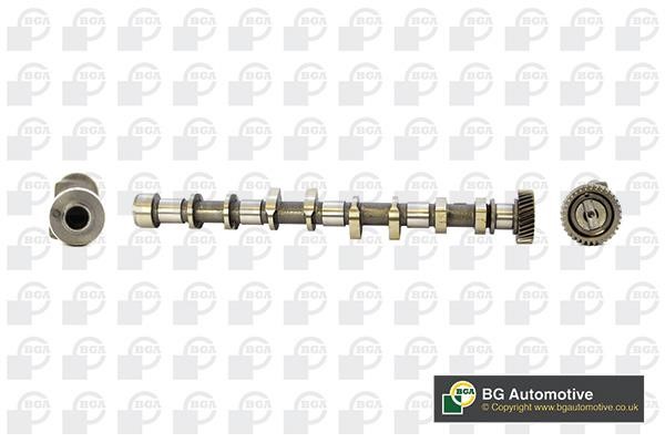 Wilmink Group WG1490620 Camshaft WG1490620: Buy near me in Poland at 2407.PL - Good price!