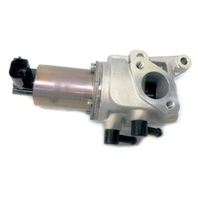 Wilmink Group WG1408754 EGR Valve WG1408754: Buy near me in Poland at 2407.PL - Good price!