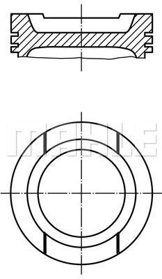 Wilmink Group WG1104447 Поршень WG1104447: Отличная цена - Купить в Польше на 2407.PL!