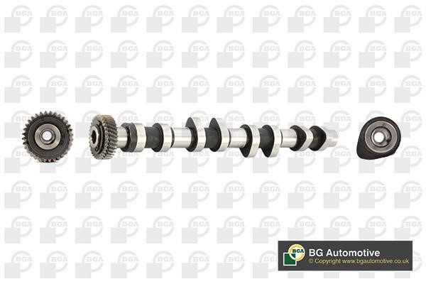 Wilmink Group WG1490481 Camshaft WG1490481: Buy near me in Poland at 2407.PL - Good price!