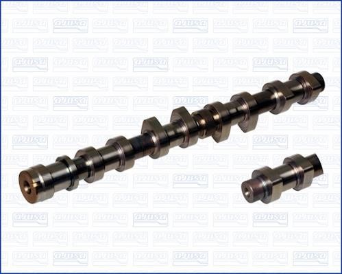 Wilmink Group WG1754020 Camshaft WG1754020: Buy near me in Poland at 2407.PL - Good price!