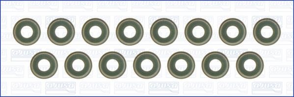 Wilmink Group WG1455783 Valve oil seals, kit WG1455783: Buy near me in Poland at 2407.PL - Good price!