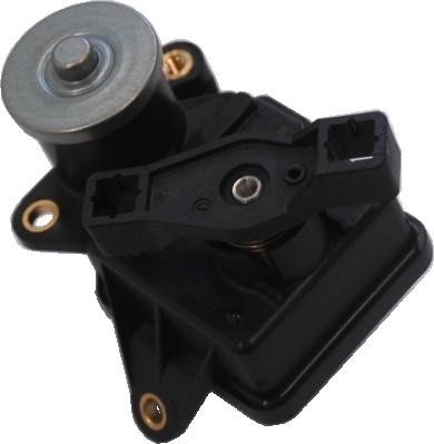 Wilmink Group WG1012124 Throttle actuator WG1012124: Buy near me in Poland at 2407.PL - Good price!