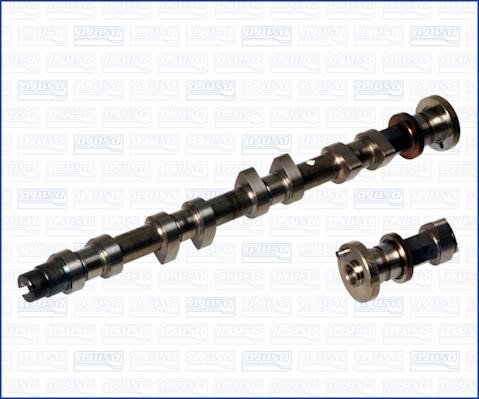 Wilmink Group WG1171451 Camshaft WG1171451: Buy near me in Poland at 2407.PL - Good price!