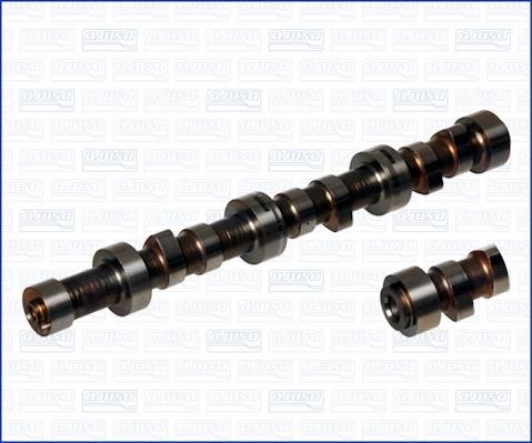 Wilmink Group WG1171569 Camshaft WG1171569: Buy near me in Poland at 2407.PL - Good price!