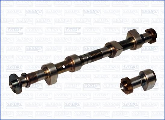 Wilmink Group WG1170719 Camshaft WG1170719: Buy near me in Poland at 2407.PL - Good price!