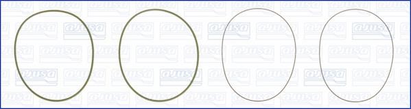 Wilmink Group WG1170234 O-rings for cylinder liners, kit WG1170234: Buy near me in Poland at 2407.PL - Good price!