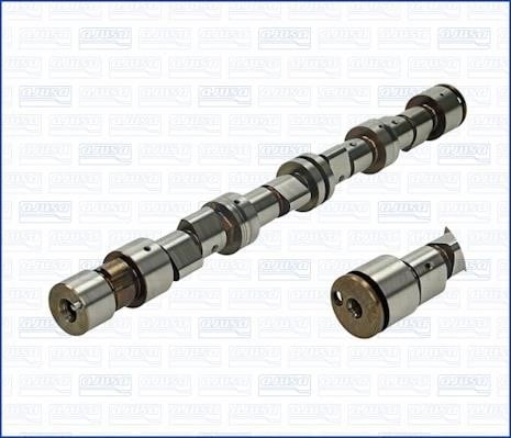 Wilmink Group WG1170896 Camshaft WG1170896: Buy near me in Poland at 2407.PL - Good price!