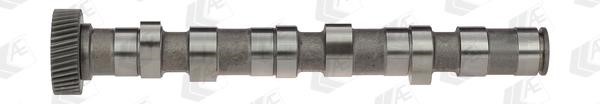 Wilmink Group WG1171923 Camshaft WG1171923: Buy near me in Poland at 2407.PL - Good price!