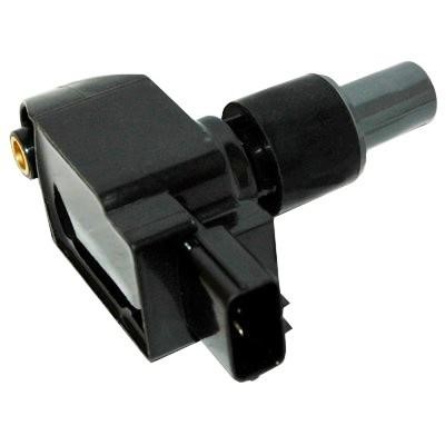 Wilmink Group WG1012448 Ignition coil WG1012448: Buy near me at 2407.PL in Poland at an Affordable price!