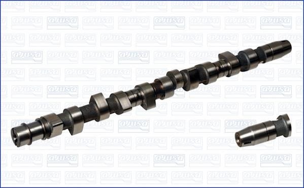 Wilmink Group WG1171006 Camshaft WG1171006: Buy near me in Poland at 2407.PL - Good price!
