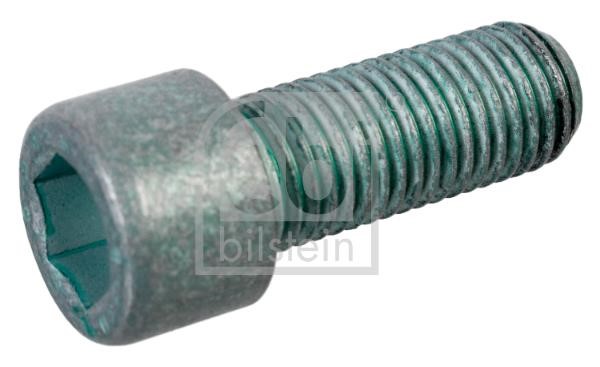 Wilmink Group WG1433045 Crankshaft pulley pulley fastening bolt WG1433045: Buy near me in Poland at 2407.PL - Good price!