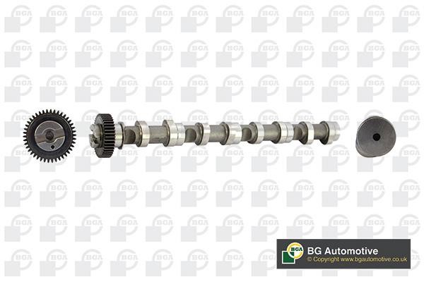 Wilmink Group WG1490639 Camshaft WG1490639: Buy near me in Poland at 2407.PL - Good price!