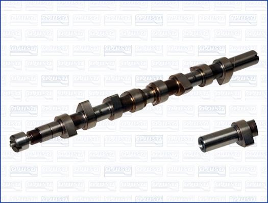 Wilmink Group WG1171407 Camshaft WG1171407: Buy near me in Poland at 2407.PL - Good price!
