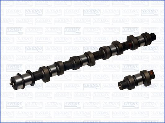 Wilmink Group WG1171598 Camshaft WG1171598: Buy near me in Poland at 2407.PL - Good price!