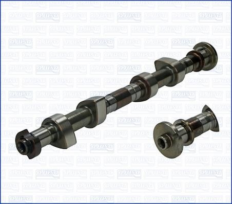 Wilmink Group WG1170751 Camshaft WG1170751: Buy near me in Poland at 2407.PL - Good price!
