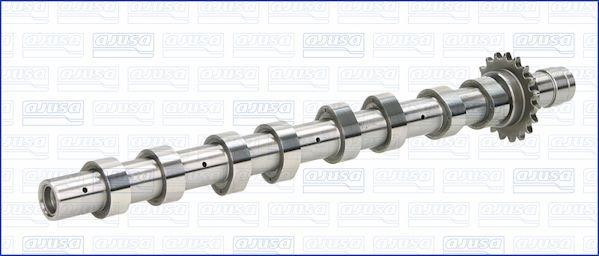 Wilmink Group WG1456309 Camshaft WG1456309: Buy near me in Poland at 2407.PL - Good price!