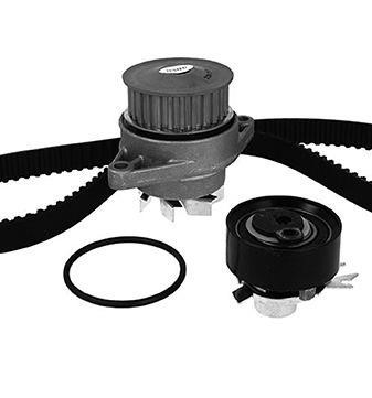 Wilmink Group WG1909478 TIMING BELT KIT WITH WATER PUMP WG1909478: Buy near me in Poland at 2407.PL - Good price!
