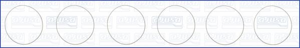 Wilmink Group WG1170210 O-rings for cylinder liners, kit WG1170210: Buy near me in Poland at 2407.PL - Good price!