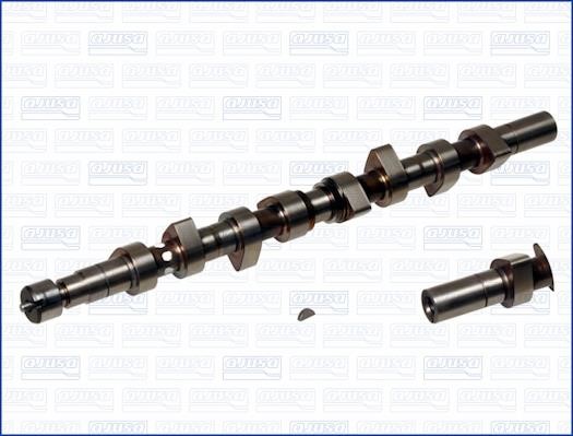 Wilmink Group WG1171236 Camshaft WG1171236: Buy near me in Poland at 2407.PL - Good price!