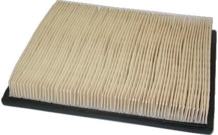 Wilmink Group WG1747413 Filter WG1747413: Buy near me in Poland at 2407.PL - Good price!
