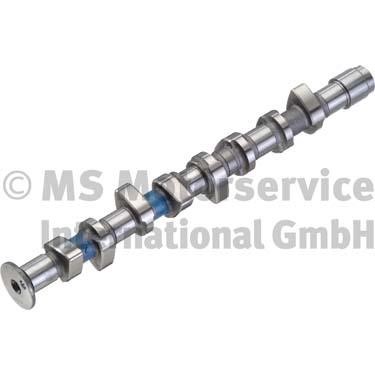 Wilmink Group WG1017689 Camshaft WG1017689: Buy near me in Poland at 2407.PL - Good price!