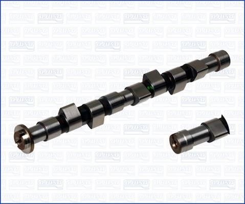 Wilmink Group WG1171026 Camshaft WG1171026: Buy near me at 2407.PL in Poland at an Affordable price!