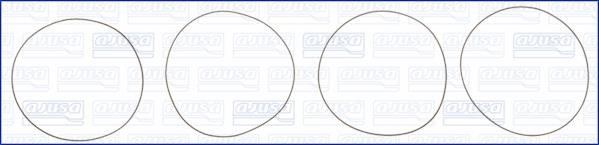 Wilmink Group WG1170203 O-rings for cylinder liners, kit WG1170203: Buy near me in Poland at 2407.PL - Good price!