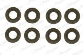 Wilmink Group WG1181324 Valve oil seals, kit WG1181324: Buy near me in Poland at 2407.PL - Good price!