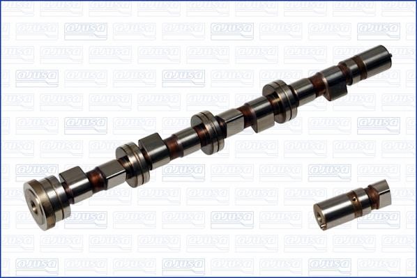 Wilmink Group WG1170848 Camshaft WG1170848: Buy near me in Poland at 2407.PL - Good price!