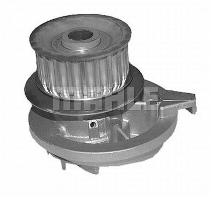 Wilmink Group WG2181428 Water pump WG2181428: Buy near me at 2407.PL in Poland at an Affordable price!