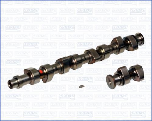 Wilmink Group WG1171003 Camshaft WG1171003: Buy near me in Poland at 2407.PL - Good price!