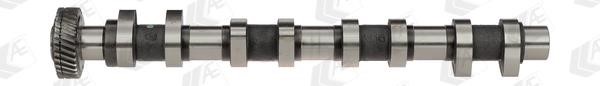 Wilmink Group WG1171938 Camshaft WG1171938: Buy near me in Poland at 2407.PL - Good price!