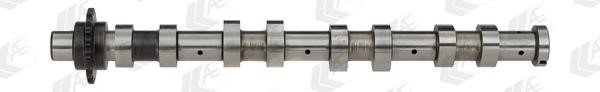Wilmink Group WG1093070 Camshaft WG1093070: Buy near me in Poland at 2407.PL - Good price!