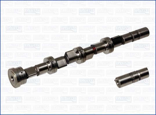 Wilmink Group WG1171395 Camshaft WG1171395: Buy near me in Poland at 2407.PL - Good price!