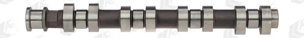 Wilmink Group WG1093074 Camshaft WG1093074: Buy near me in Poland at 2407.PL - Good price!