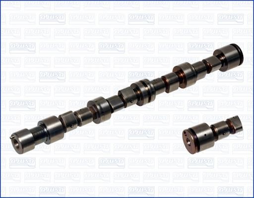 Wilmink Group WG1171044 Camshaft WG1171044: Buy near me in Poland at 2407.PL - Good price!
