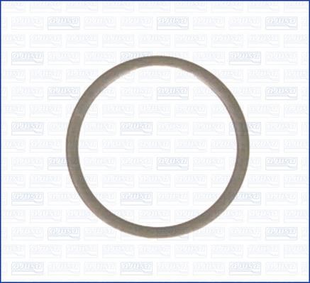 Wilmink Group WG1452021 Ring sealing WG1452021: Buy near me in Poland at 2407.PL - Good price!