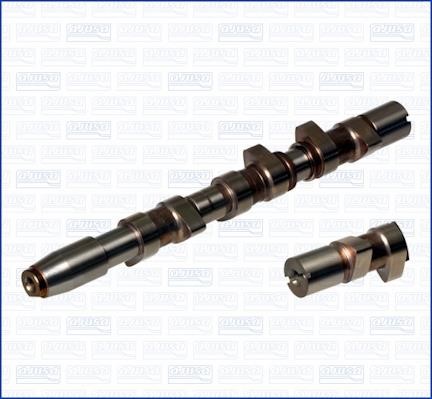 Wilmink Group WG1171010 Camshaft WG1171010: Buy near me in Poland at 2407.PL - Good price!