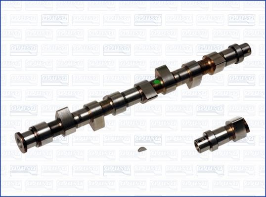Wilmink Group WG1170806 Camshaft WG1170806: Buy near me in Poland at 2407.PL - Good price!