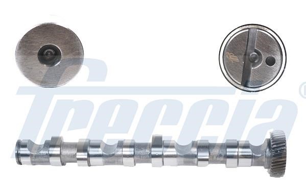 Wilmink Group WG1155340 Camshaft WG1155340: Buy near me in Poland at 2407.PL - Good price!
