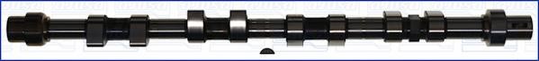 Wilmink Group WG1170813 Camshaft WG1170813: Buy near me in Poland at 2407.PL - Good price!