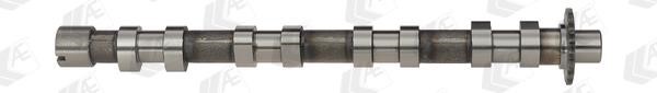 Wilmink Group WG1171954 Camshaft WG1171954: Buy near me at 2407.PL in Poland at an Affordable price!